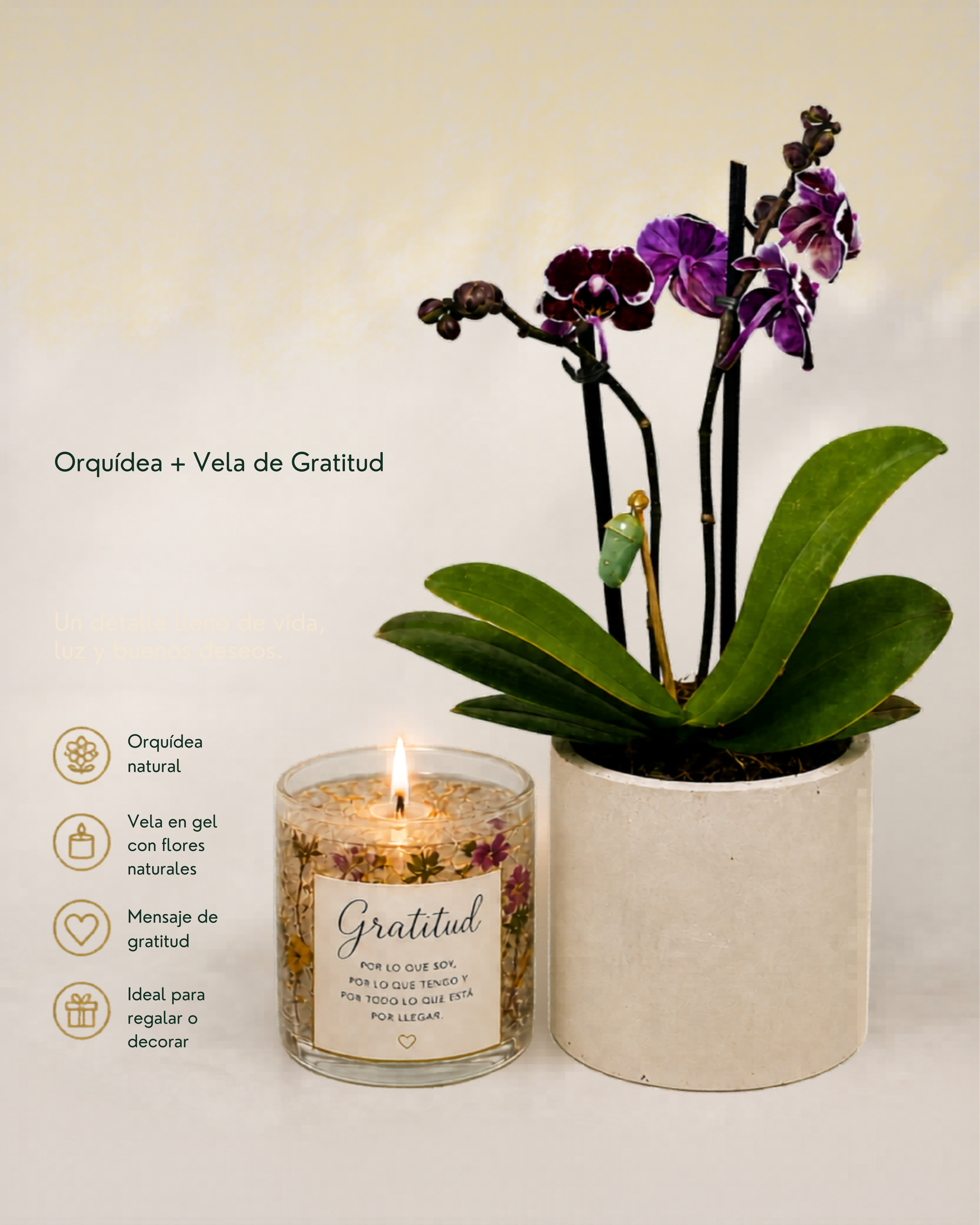 Crisálida con orquídea